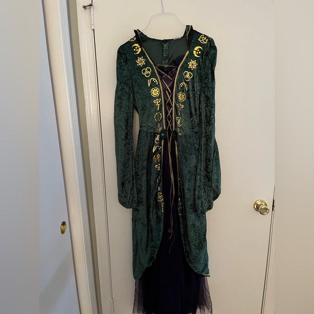 Winifred Sanderson from Hocus Pocus witch costume. Disney brand.